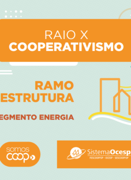 Raio X Cooperativismo: Ramo Infraestrutura