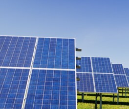 Energia renovável gera empregos e possui custos cada vez menores